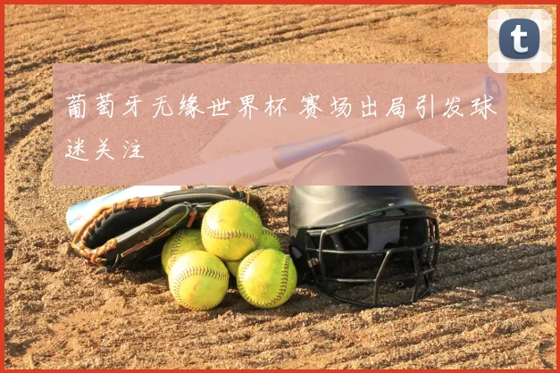 葡萄牙无缘世界杯 赛场出局引发球迷关注