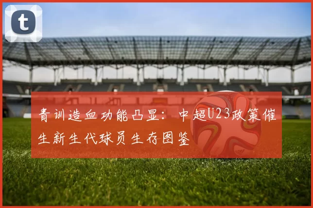 青训造血功能凸显:中超U23政策催生新生代球员生存图鉴