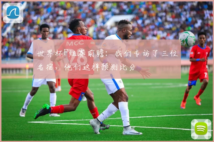 世界杯F组赛前瞻：我们专访了三位名宿，他们这样预测比分