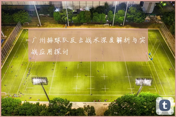 广州排球队反击战术深度解析与实战应用探讨