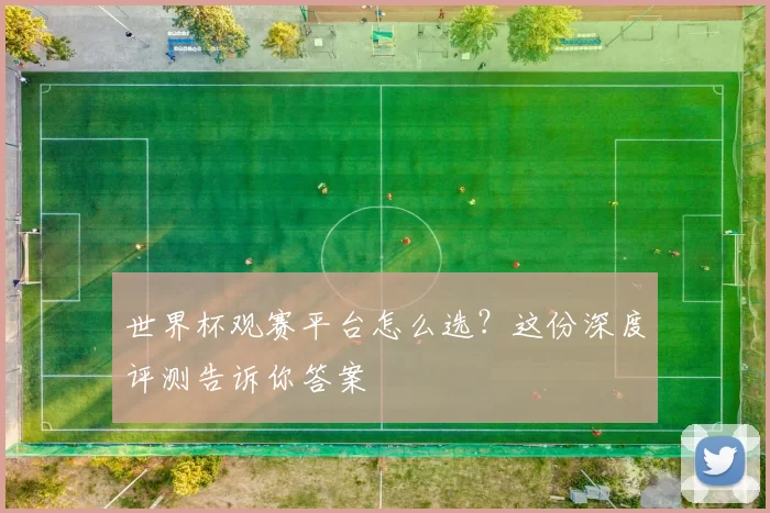 世界杯观赛平台怎么选？这份深度评测告诉你答案