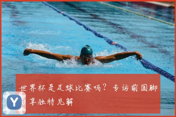 世界杯是足球比赛吗?专访前国脚分享独特见解