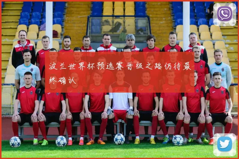 波兰世界杯预选赛晋级之路仍待最终确认