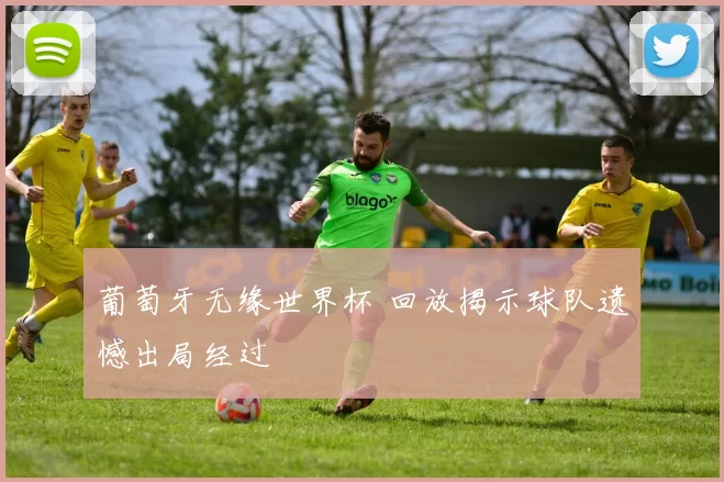 葡萄牙无缘世界杯 回放揭示球队遗憾出局经过