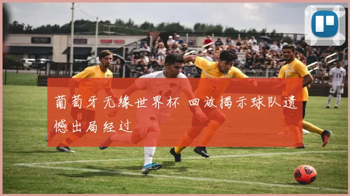 葡萄牙无缘世界杯 回放揭示球队遗憾出局经过