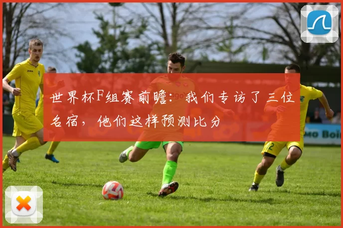 世界杯F组赛前瞻：我们专访了三位名宿，他们这样预测比分