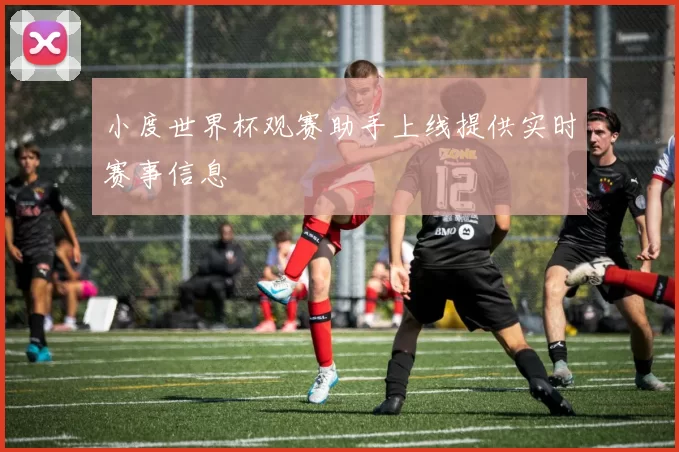 小度世界杯观赛助手上线提供实时赛事信息