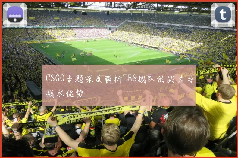 CSGO专题深度解析TES战队的实力与战术优势