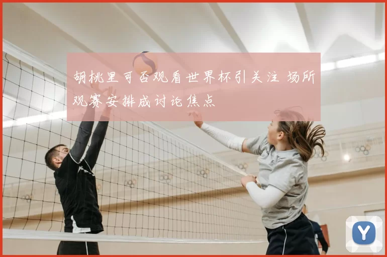 胡桃里可否观看世界杯引关注 场所观赛安排成讨论焦点