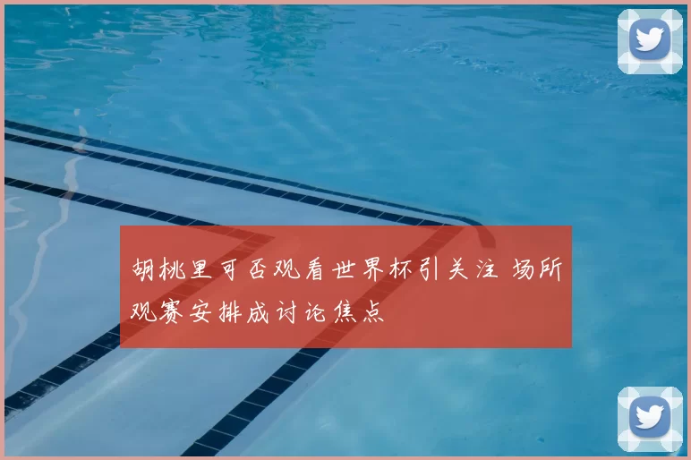 胡桃里可否观看世界杯引关注 场所观赛安排成讨论焦点