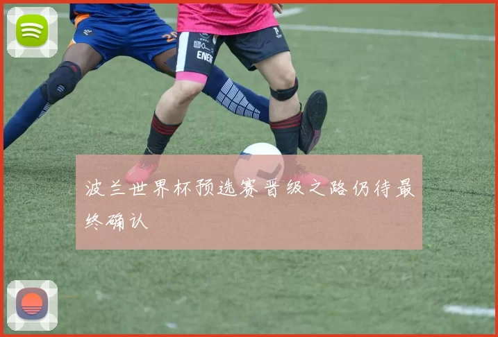波兰世界杯预选赛晋级之路仍待最终确认